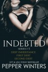 Indebted Series 1-3: Debt Inheritance, First Debt, Second Debt